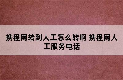 携程网转到人工怎么转啊 携程网人工服务电话